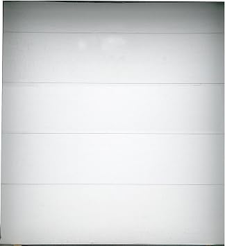 TSIII-98X96-XX-2FVL - AMERICAN GARAGE DOOR Supply Dock Door 8 ft Opening Ht, 8 ft Opening Wd,