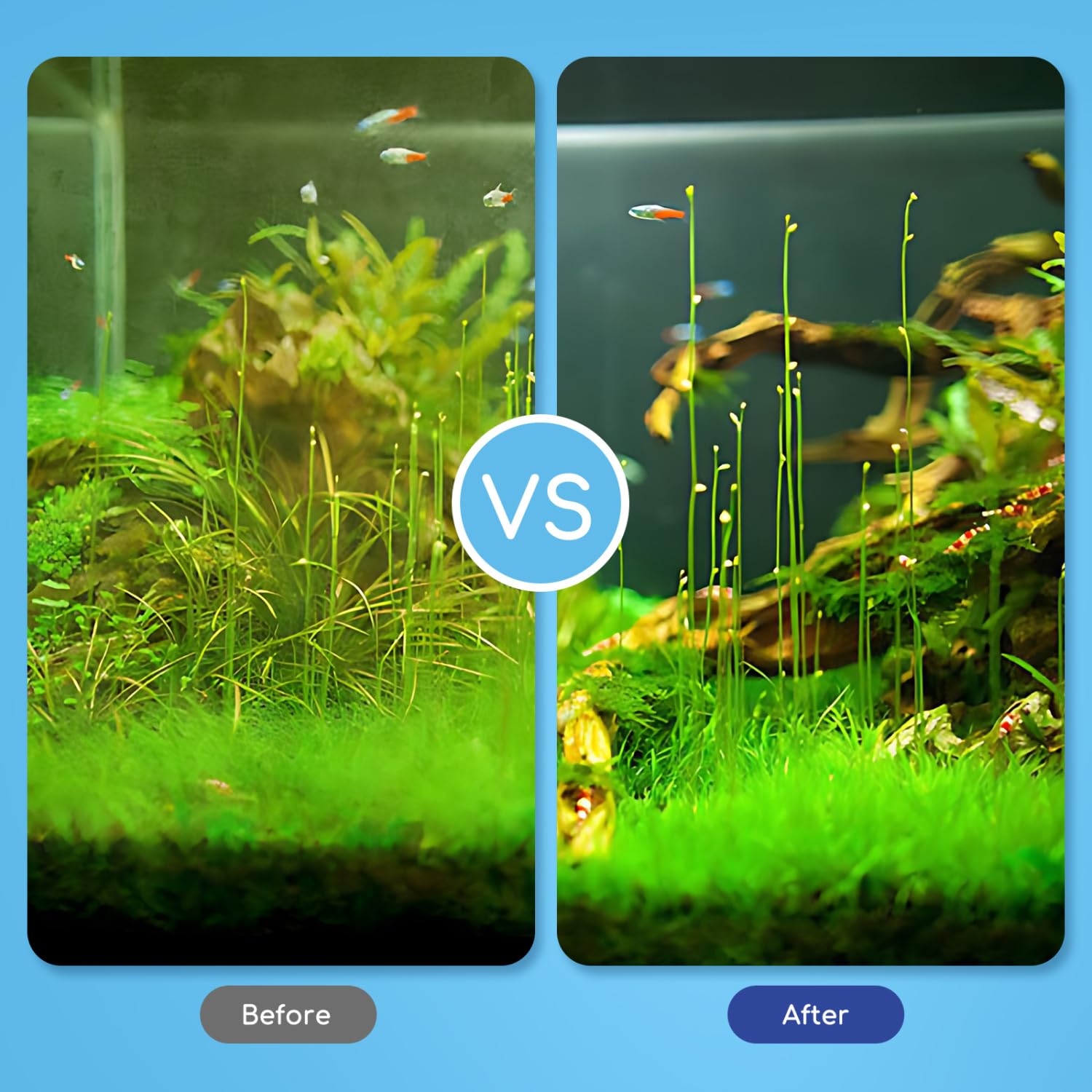 Nobleza Aquarium Cleaners, zestaw 5 w 1 z wysuwanym środkiem do czyszczenia akwarium – siatka na ryby, skrobak do glonów, grabki do żwiru, widełki do roślin, gąbka