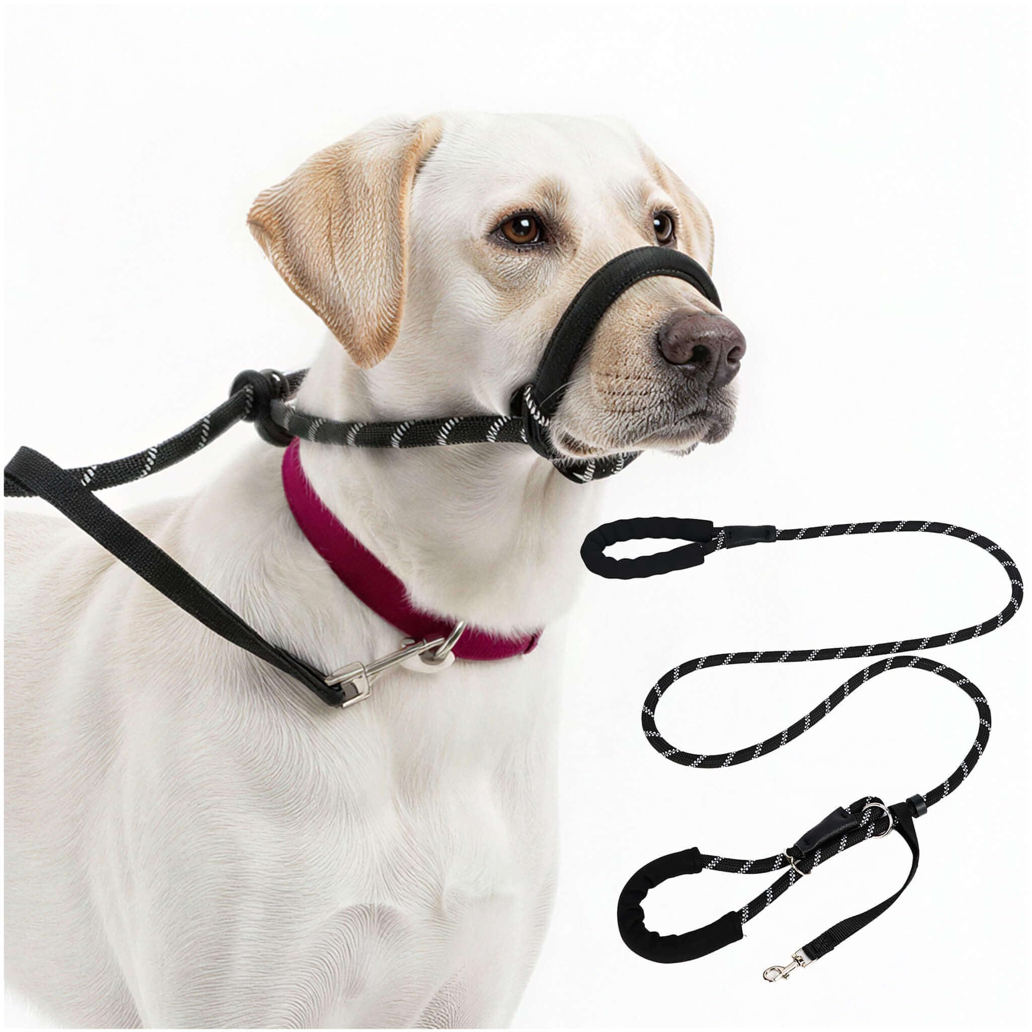 SOLDAY Laisse Anti Traction Chien 2m - Lasso Multiposition pour Toutou Qui Tire Fort - Longe Dressage Réfléchissante Grand & Moyen Canin Noir