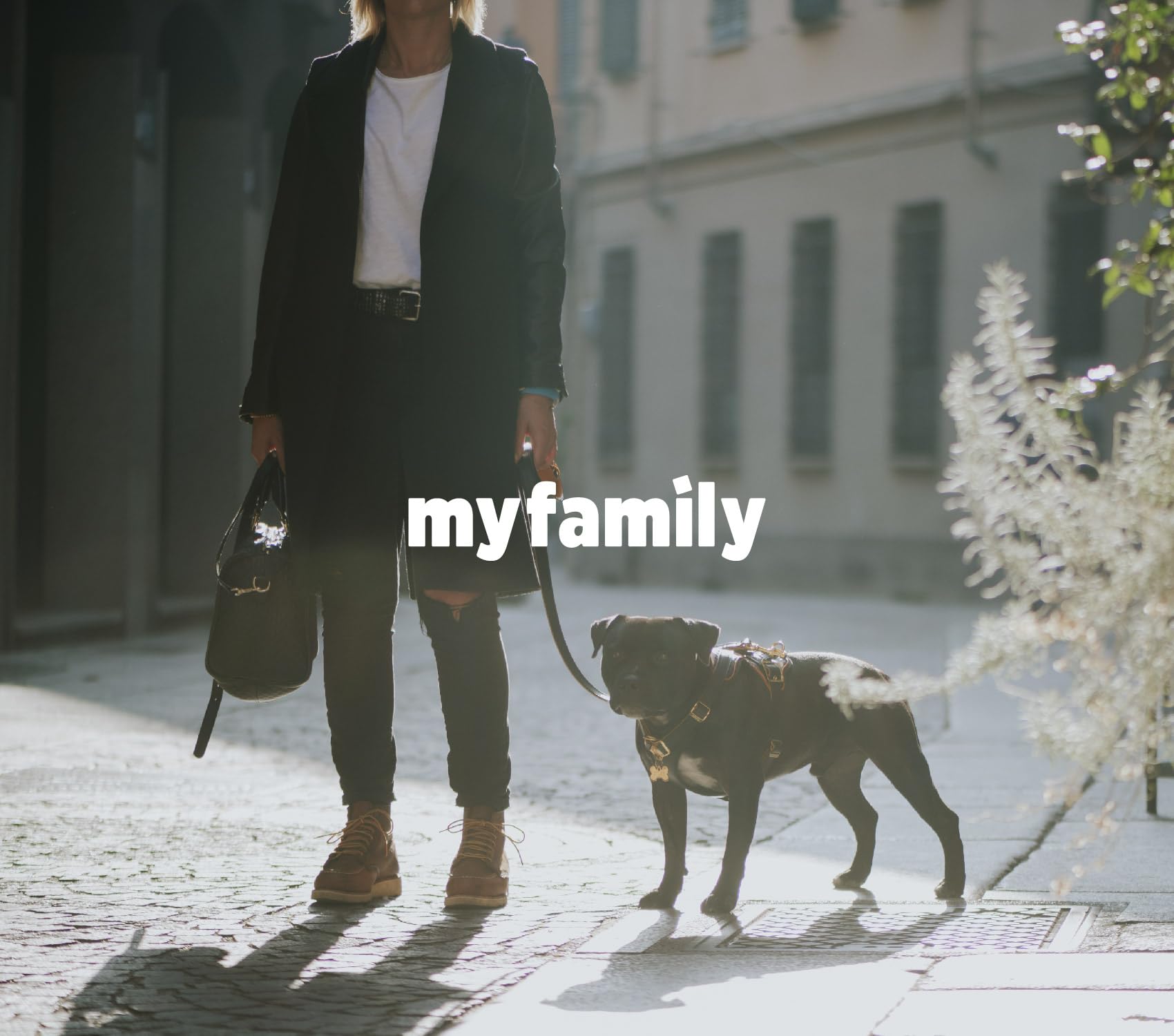 MyFamily Pettorina Cane in Vera Pelle Made in Italy, Finiture Metalliche Placcate in Oro 24K, Abbraccio ad H, Collezione Hermitage