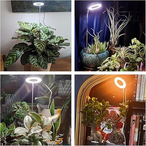 Miniatura 3 de Aokrean - Luces de cultivo para plantas de interior 48 LED de espectro completo para plantas de interior lámpara de cultivo ajustable en altura con