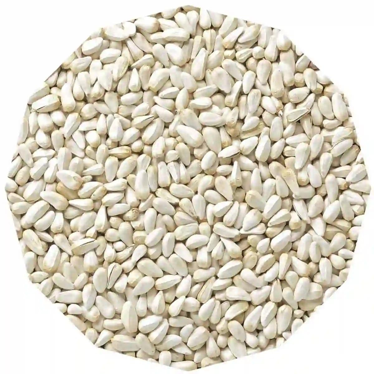 SANJU Kusum Seeds for Birds 5 KG - Safflower Seeds - Kusum Beej - Saffola Seeds - Kardi Seed Bird Food (B0D39HBB2R) Amazon Price History, Amazon Price Tracker