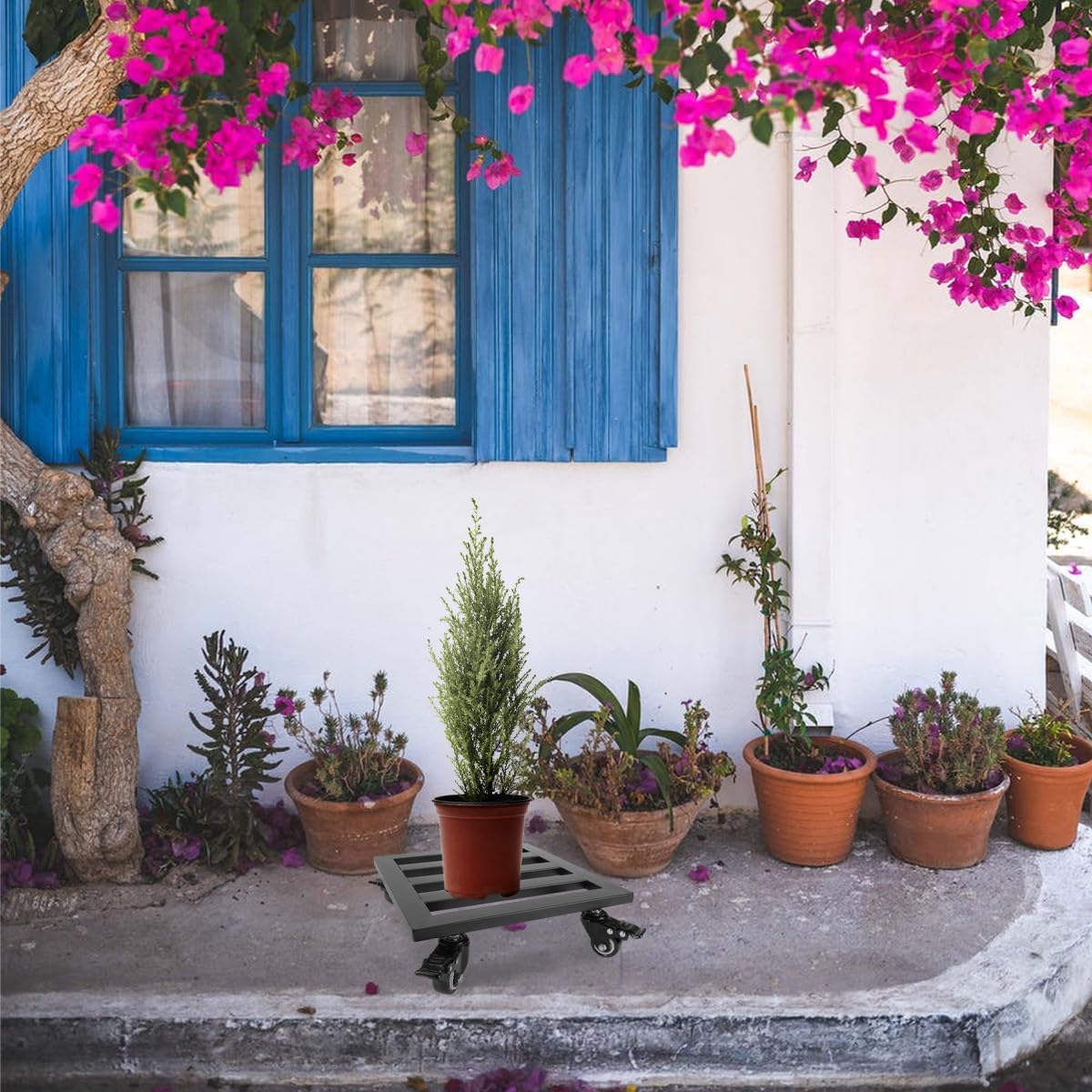 Rolling Iron Plant Caddy with Wheels Heavy-Duty Mobile Plant Dolly Floor Stand for Indoor and Outdoor Use