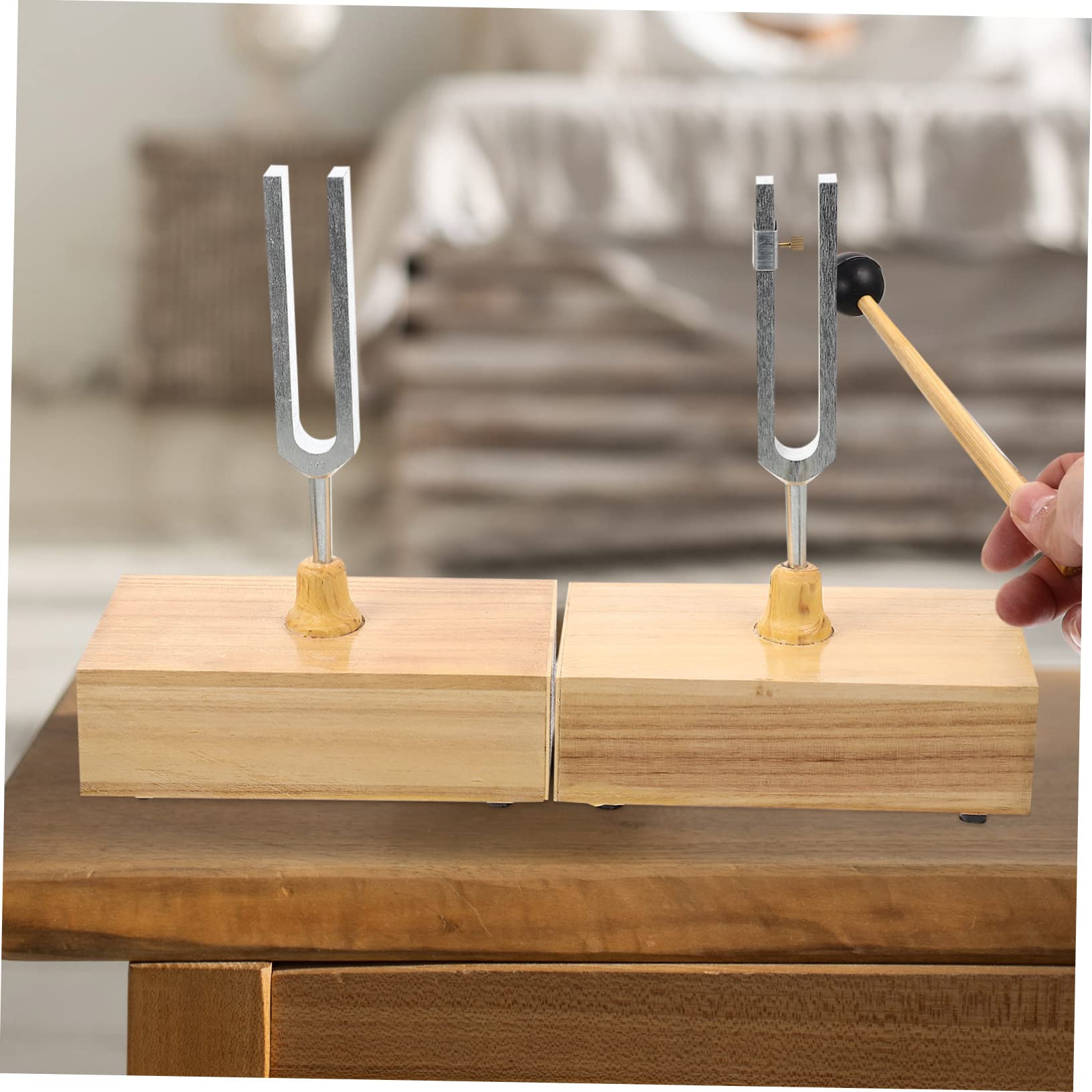 Toyvian Set di Diapason per Esperimenti Fisici con Base di Legno e Martello, Accordatura Precisa e Regolabile per Esperimenti Acustici e Didattici, Diapason 440hz in Metallo