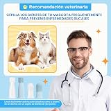 Ver la foto 4