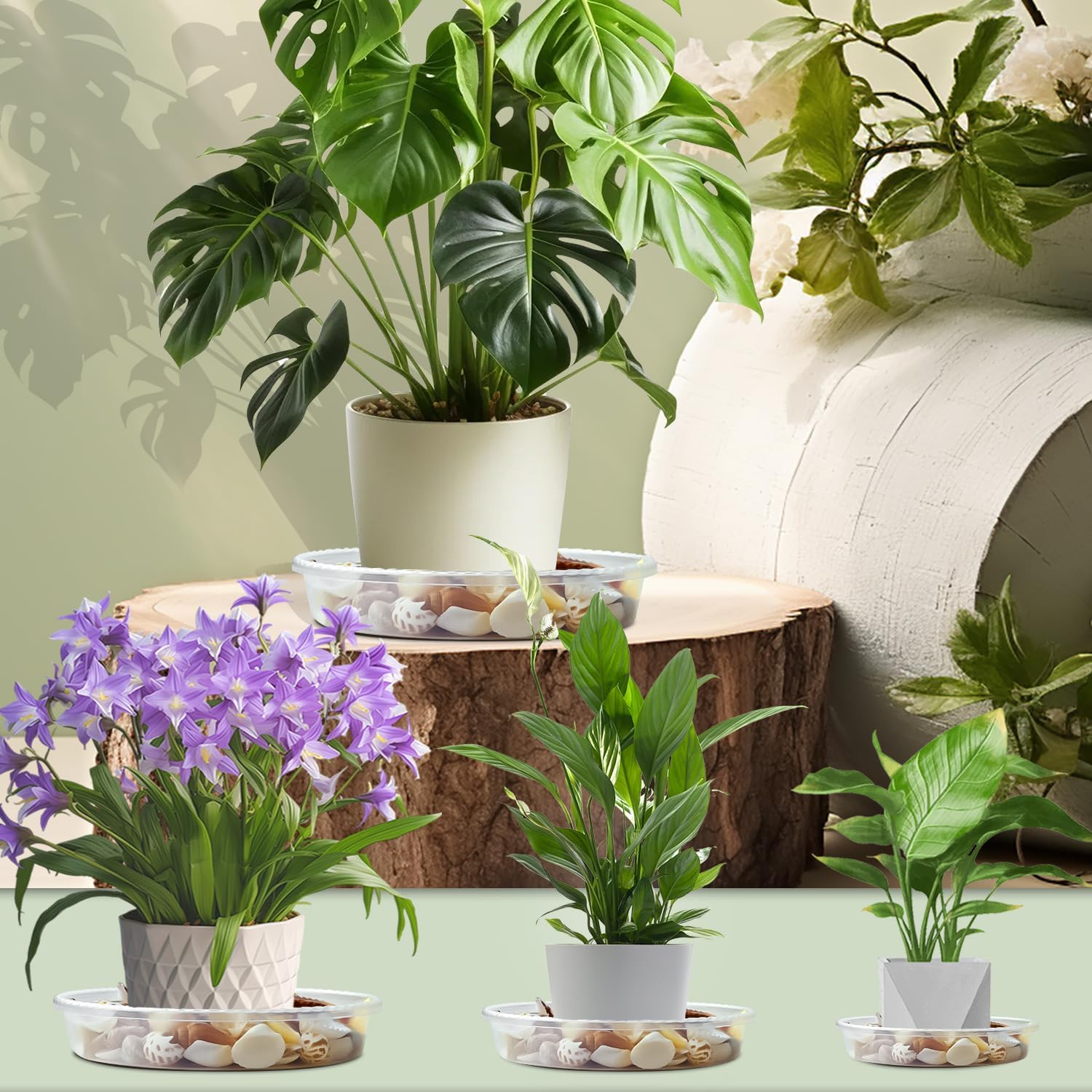 SupKing Plant Saucers - 9 Pack, Clear Trays -5
