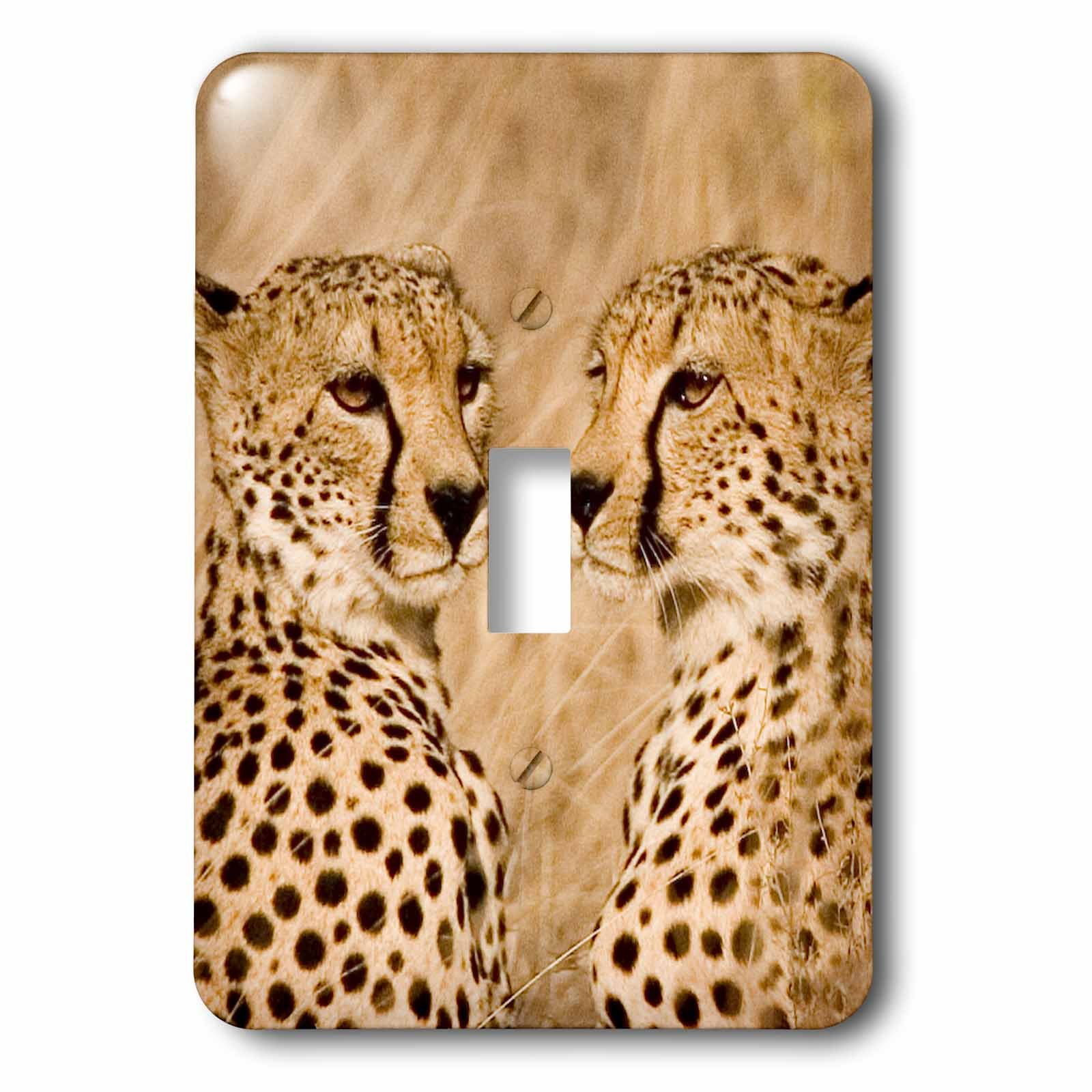 Interrupteur Janyes Gallery Kenya Masai Mara finition haute qualité