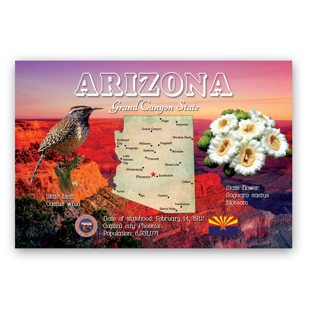 Cartes postales Arizona lot de 20 à offrir pour passionnés des États-Unis - 3