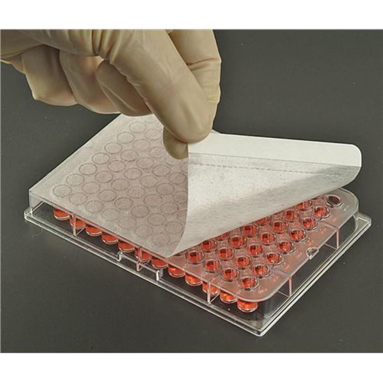 AXYGEN BF-400 Breathable Sealing Film for Tissue Culture, Deep Well, 96-Well Microplates, NS, PK100