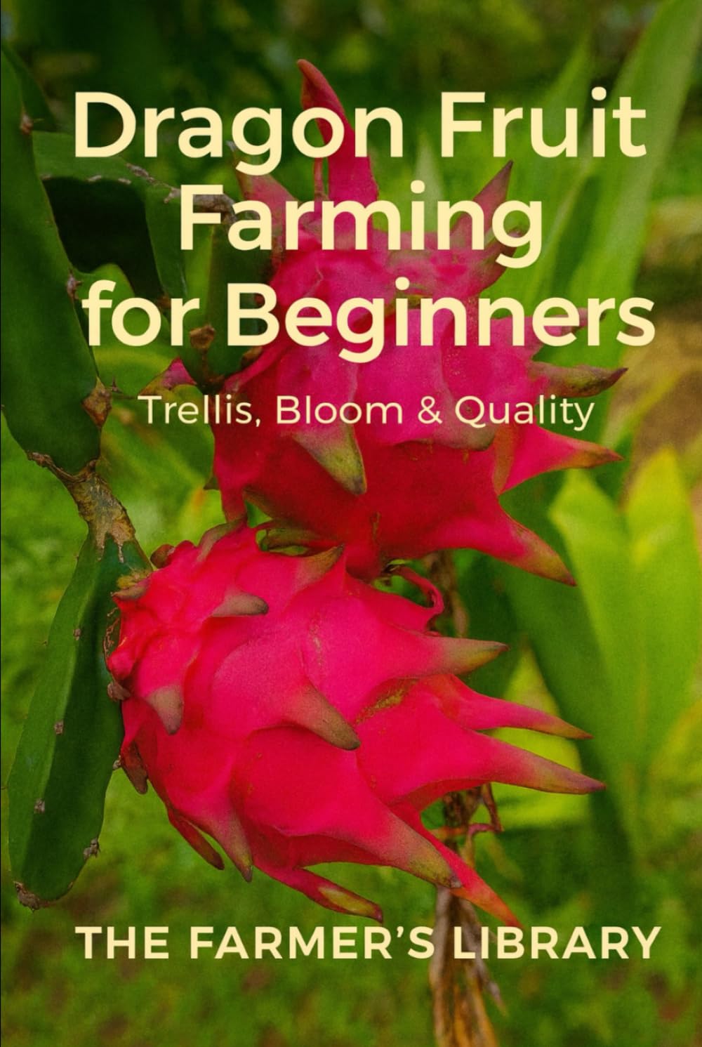 Dragon Fruit Farming for Beginners: A Practical Guide to Trellising, Flowering, Pollination, Fruit Quality & Small-Scale Profit