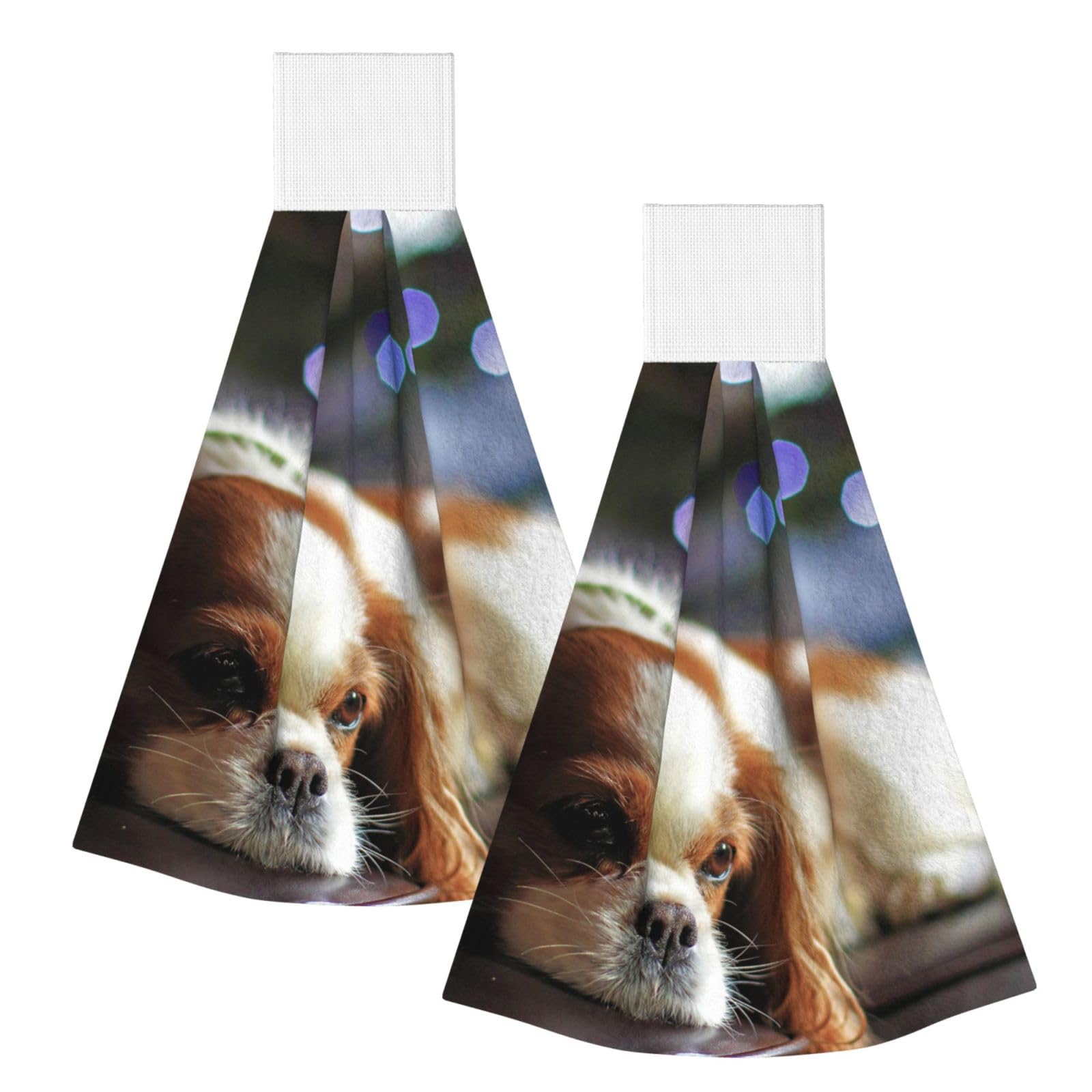 DOPKLNA Cavalier King Charles Spaniel Small Spaniel, 2 Pcs Hanging Coral Fiber Hand Towels for Bathroom, Absorbent Kitchen Towels