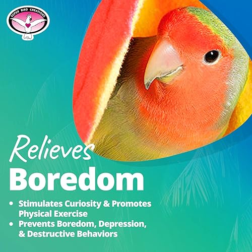 Miniatura 4 de Super Bird Creations SB473 - Tienda de campaña con cuentas de plástico y campana tamaño pequeño 254 x 40 x 41 x 45in