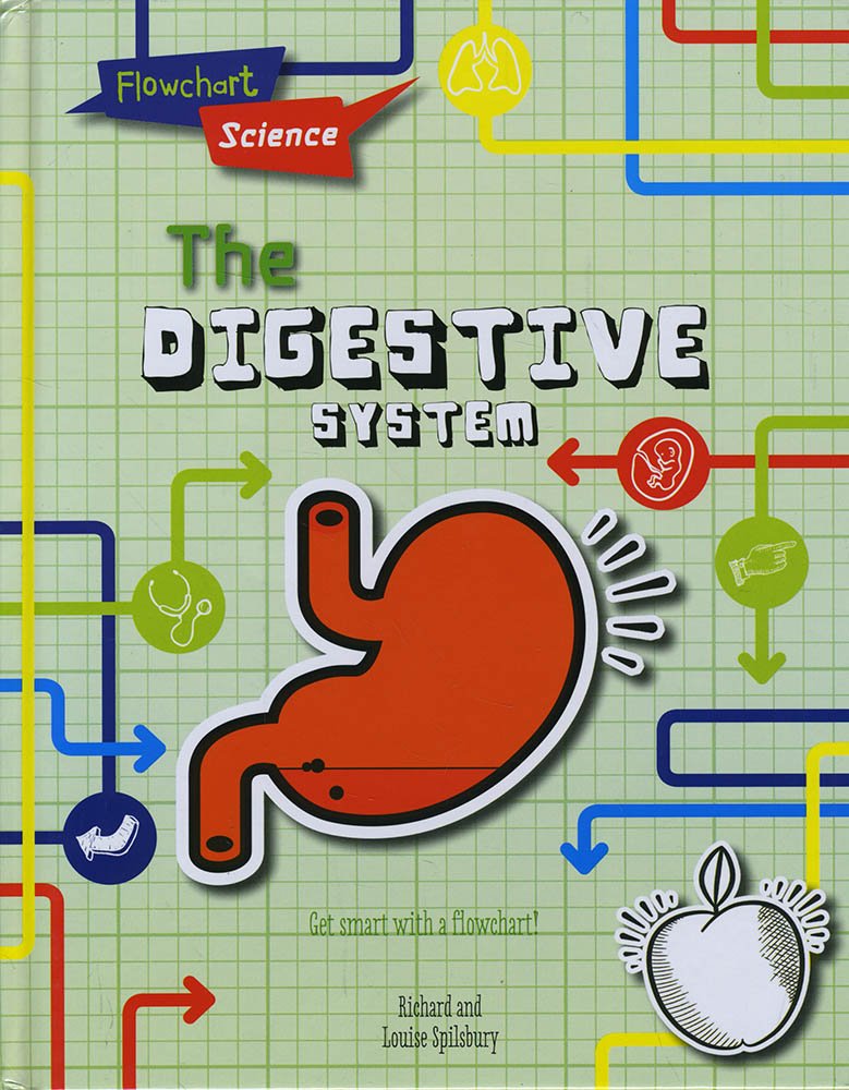 Flowchart Science: The Human Body: The Digestive System