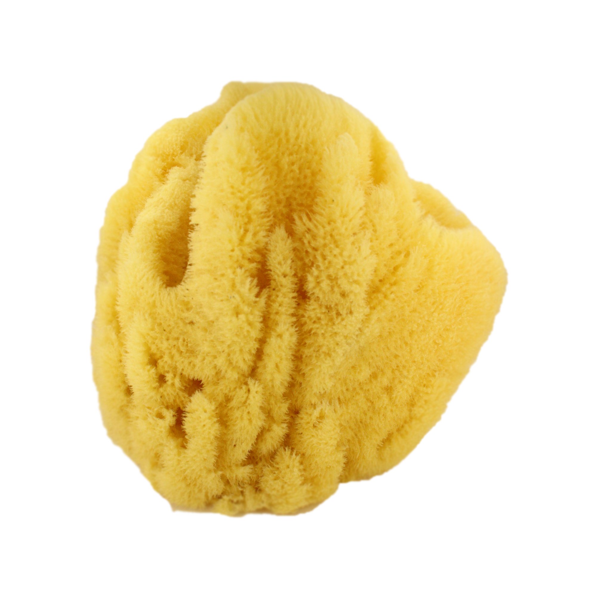 海綿スポンジ　世界最大？ スポンジ(100個入) 3/16用 | ねじ・くぎ・針金・建築金物 通販