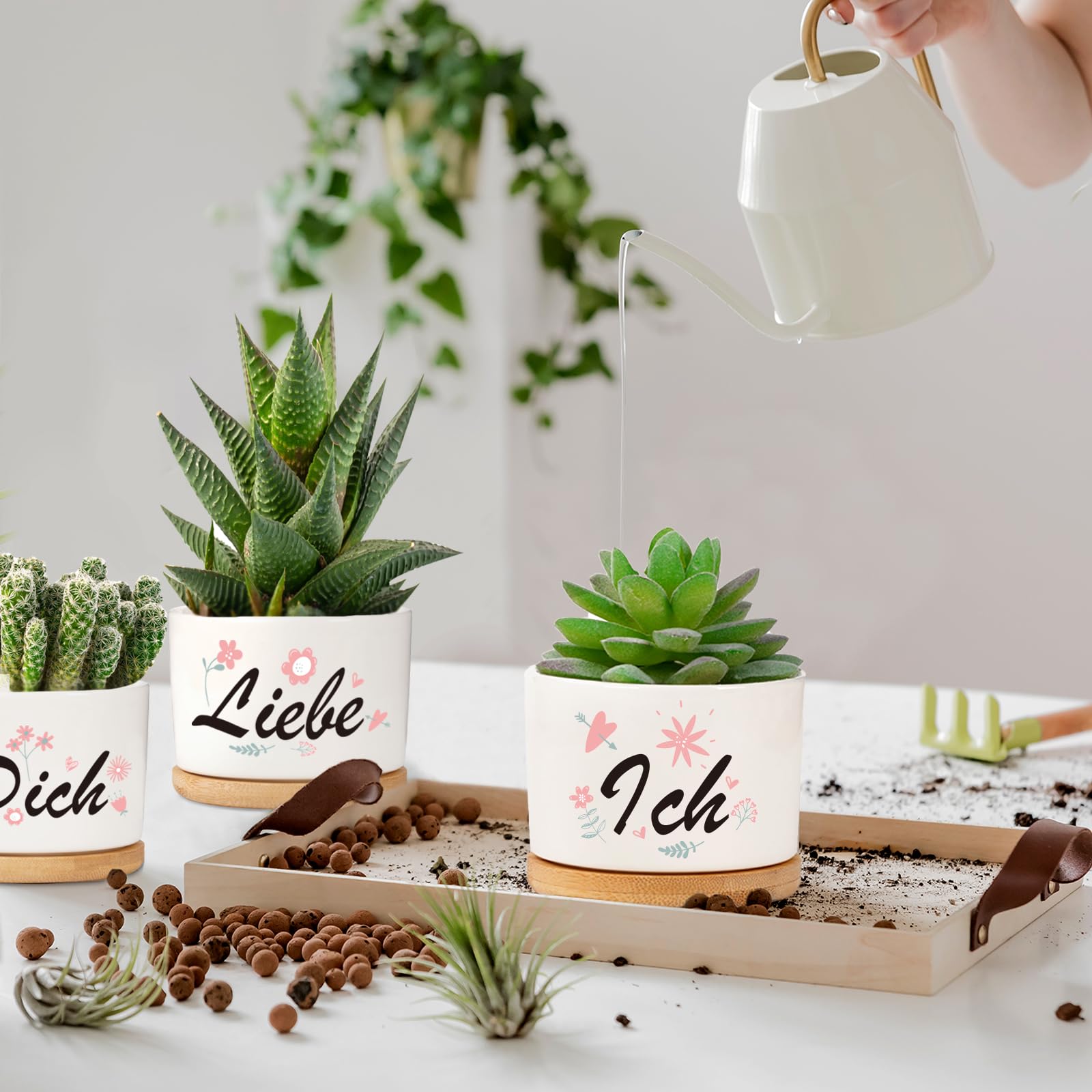 Keramik Übertopf Mit Holztablett & Spruch - Süßes Freundschaftsgeschenk Für Frauen, 8,9 Cm Für Sukkulenten