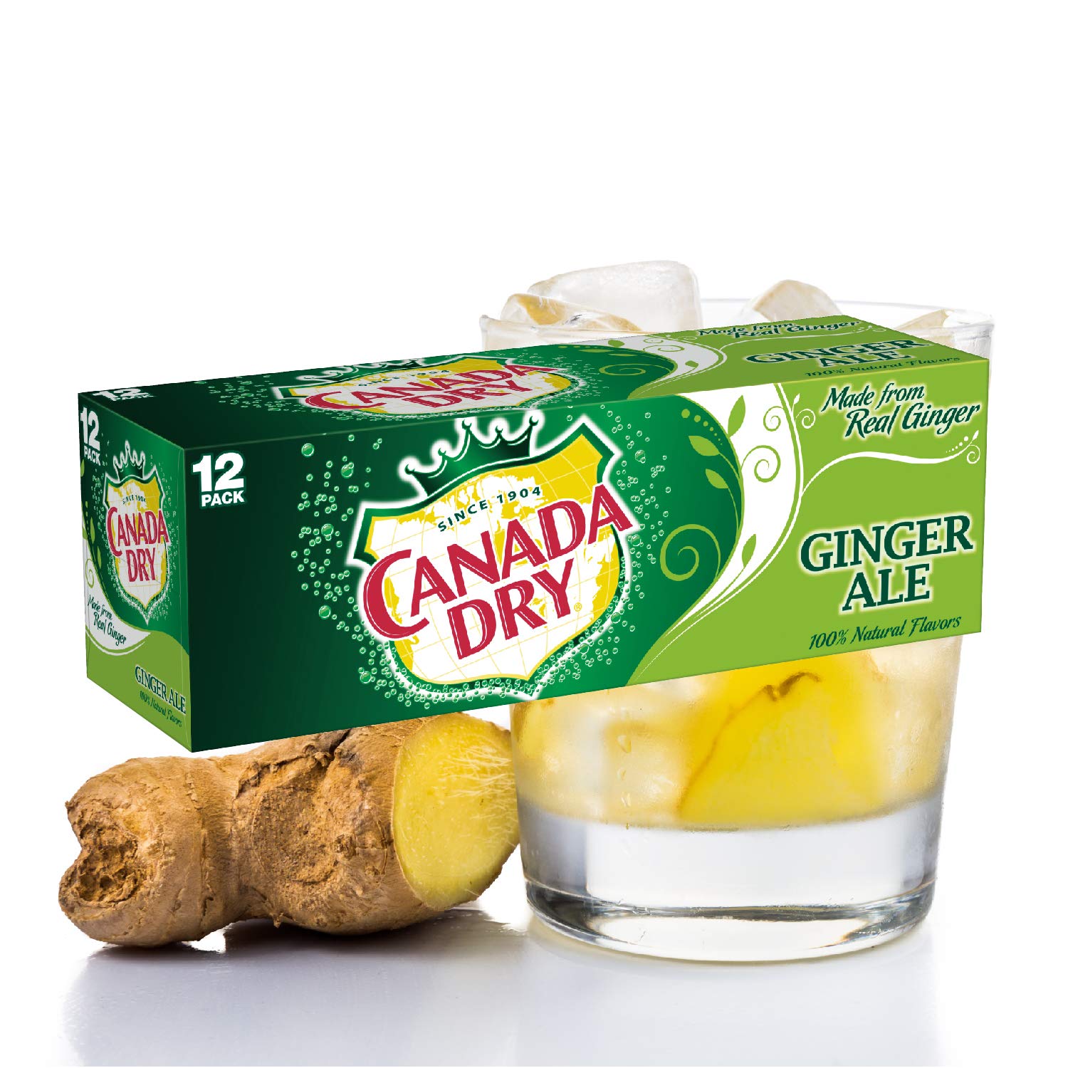CANADA DRY Ginger Ale 355ml 12er Pack