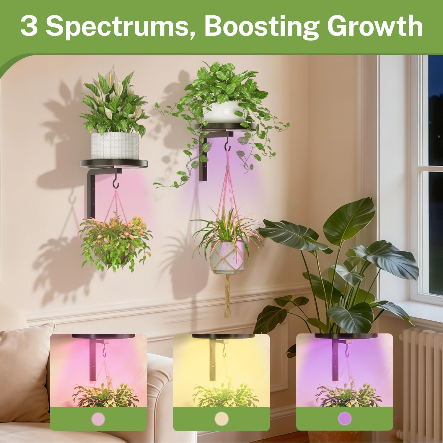 iDavosic.ly Wall Plant Holder with Grow Lights Set of 2 for Indoor Outdoor, Metal Hanger with 2 Hooks, Floating Flower Display Stand for Window, Space Saving & Easy to Assemble (Pots Not Included)