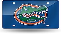 Vista 153 de Rico Industries Placa de matrícula de metal con incrustaciones láser de Florida Gators de la NCAA