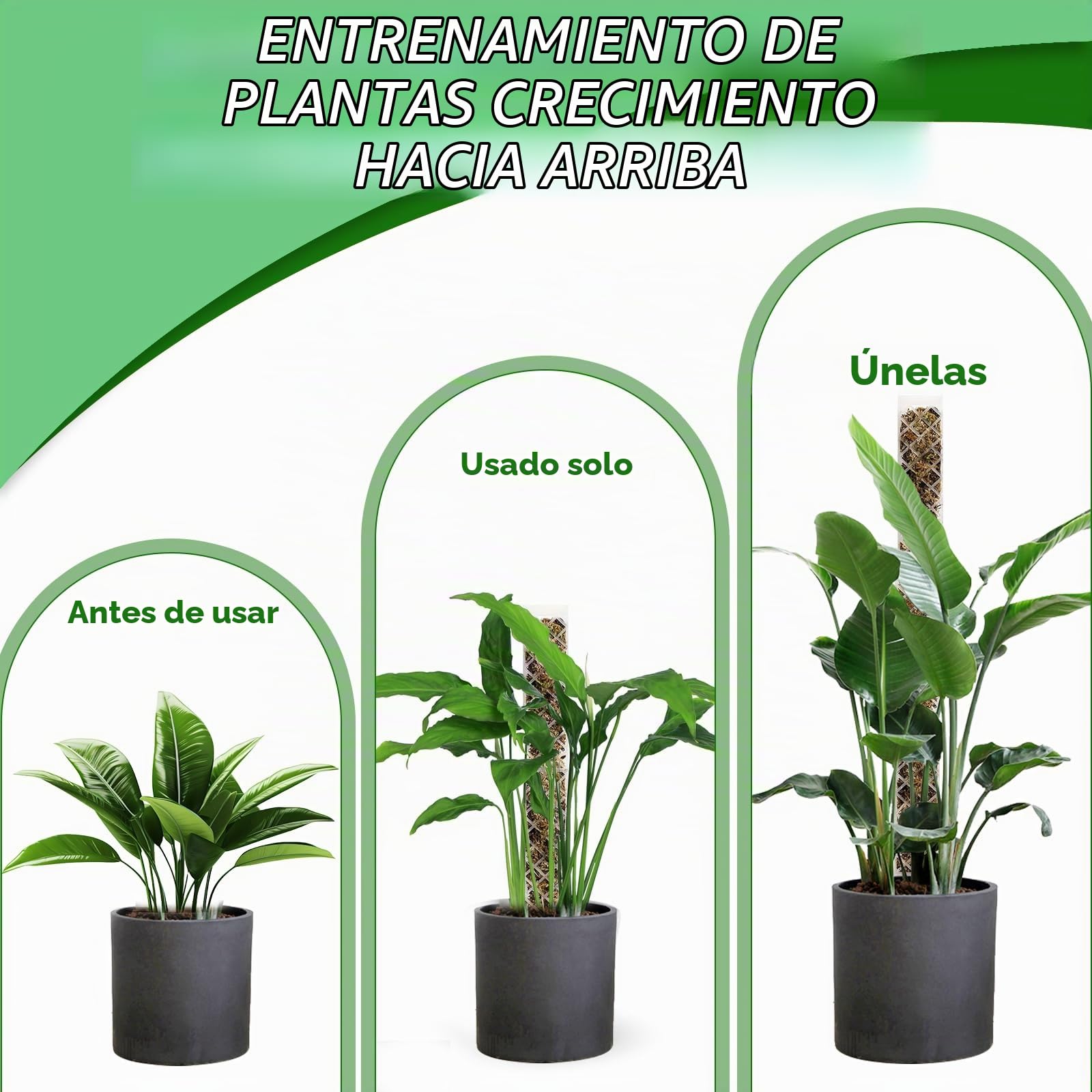 FAELNK Varilla de Musgo para Enrejado de Monstera Enrejado para Plantas de Interior Varilla para Plantas Monstera con Planta Ayuda para Riego Bridas para Plantar en el Jardín (Blanco)