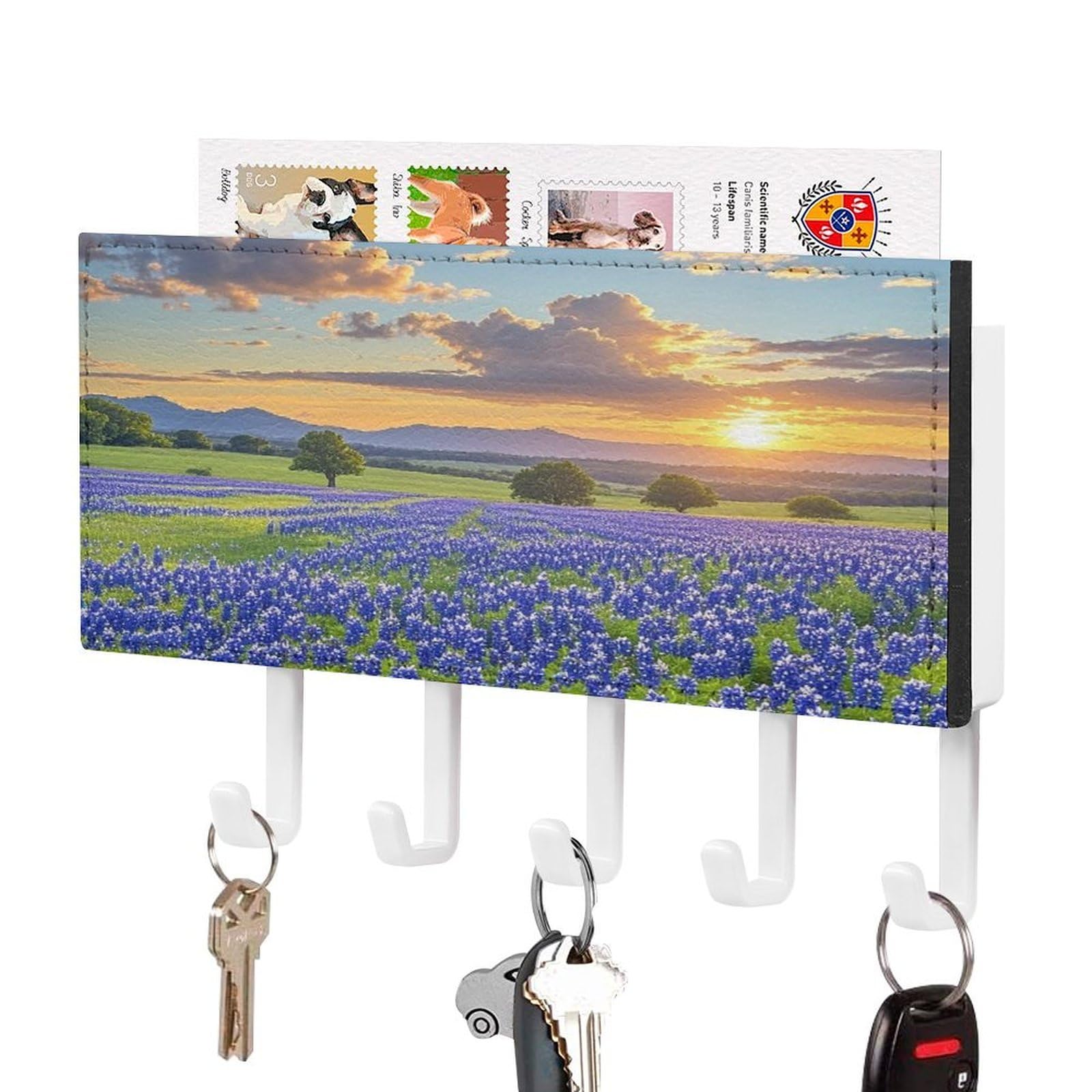 Vstadank White-Style Texas Bluebonnets Scenery Key Holder Wall Mount Key Hanger Decor Pu Leather Adhesive Key Rack With 5 Hooks Hanging Key Hooks Key Organizer Rack For Hallway Door Entryway Home Decor