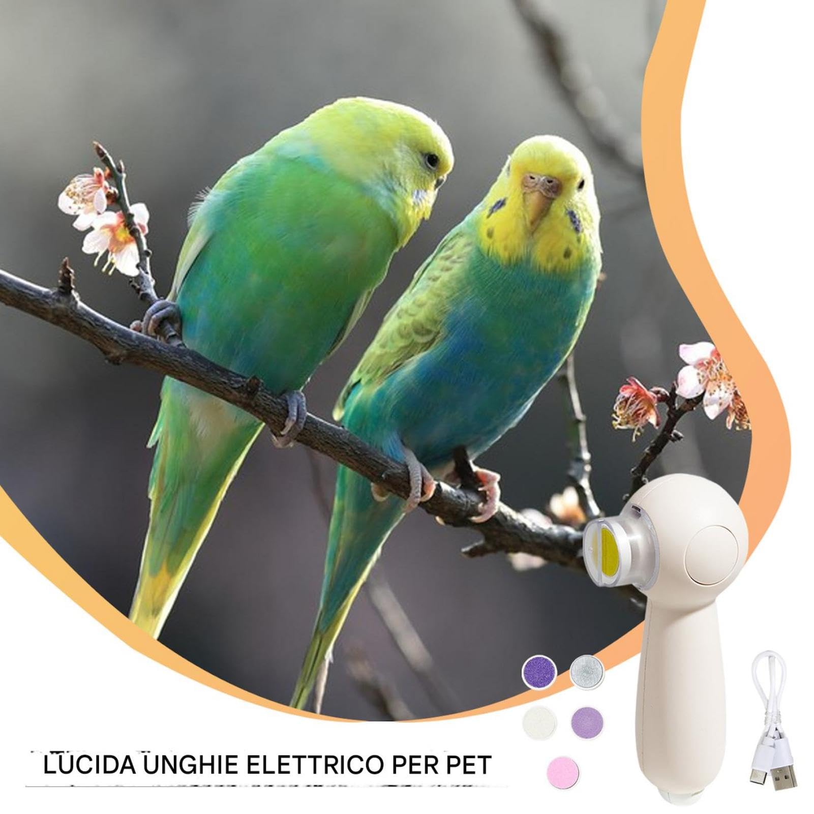 Schnabelschleifer - Silent Elektrischer Schnabelschleifer - Nagelschleifer für Vögel Nagelschleifer für Vögel Sanfte Pflege Werkzeug Nagelknipser inkl