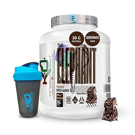 Knockout by Absolute Nutrition, Elephant Mass Gainer with Creatine Monohydrate, HMB & Vitamins, Minerals,60g Complex Carbs & 20g Protein per serving (Belgium Chocolate, 3 Kg) Free Shaker