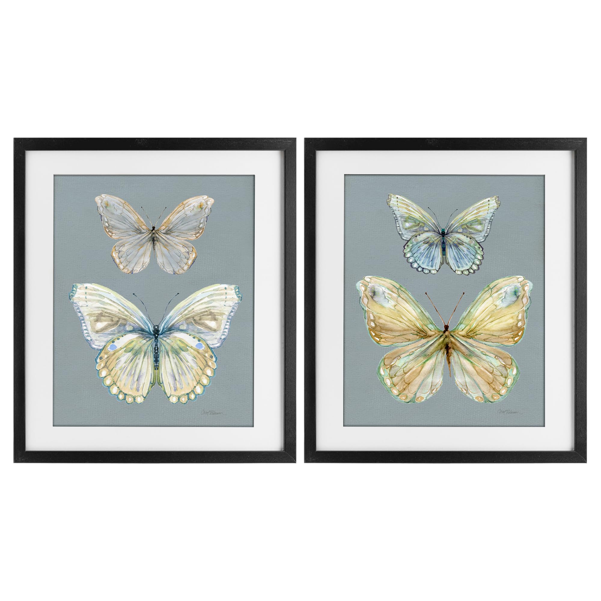 Stupell Industries 'Butterfly Pairs over Slate', 2pc Framed Print Under Glass Set, Black, 13 x 16 Inches, Easy to Hang and Sturdy, Made in USA, by Carol Robinson