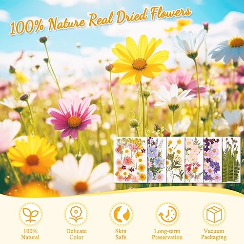 Miniatura 4 de 6 hojas de flores secas prensadas para manualidades, flores y hojas secas reales para álbumes de recortes, moldes de joyería de resina, velas y