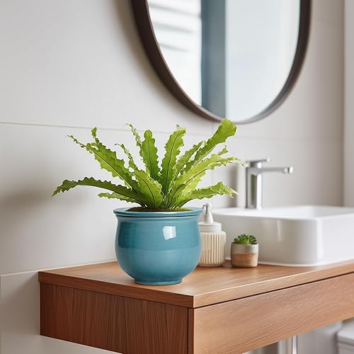 Miniatura 5 de Macetas de violeta africana de 6 pulgadas, maceta de cerámica con riego automático con maceta interior absorbente, macetas africanas para plantas de