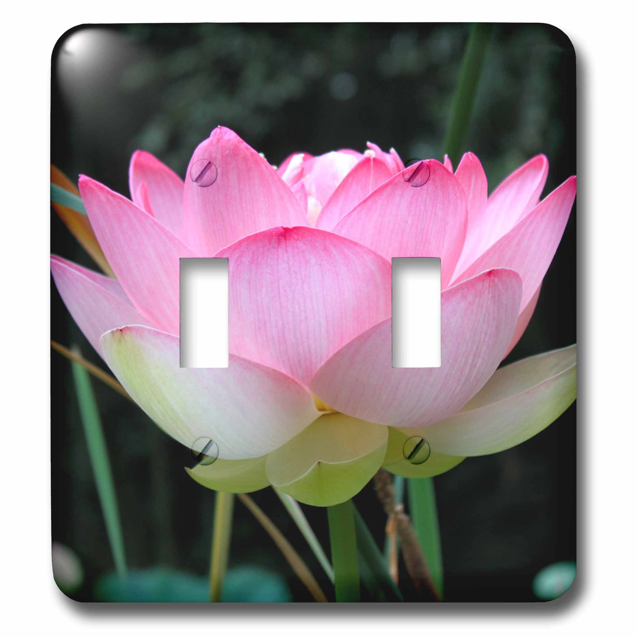 Interrupteur double bascule fleur de lotus plaque commande lumineuse murale