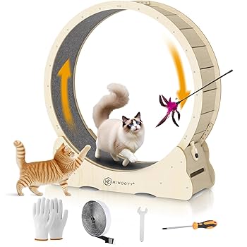 犬猫ルームランナー Amazon.co.jp: YESOUL 犬 猫 ペット用 ランニングマシン 電動