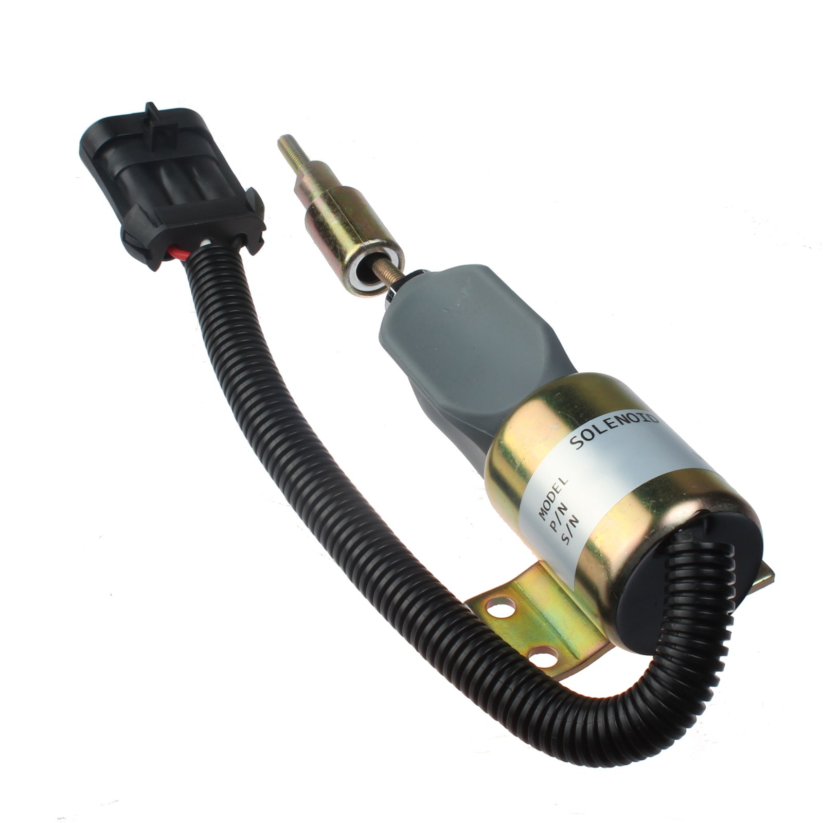 ぶんぶん 71EvO4WYAbL.jpg_BO30,255,255,