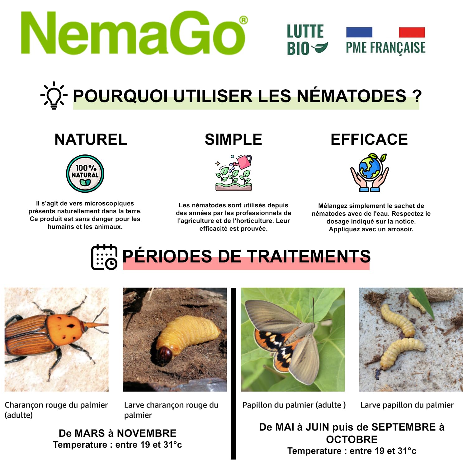 Nématodes Traitement contre le Papillon du Palmier et le Charançon Rouge - Traiter 1 à 3 Palmiers - Anti vers et larves (+ glu palmier) (+ Bombe Aérosol traitement Palmier)