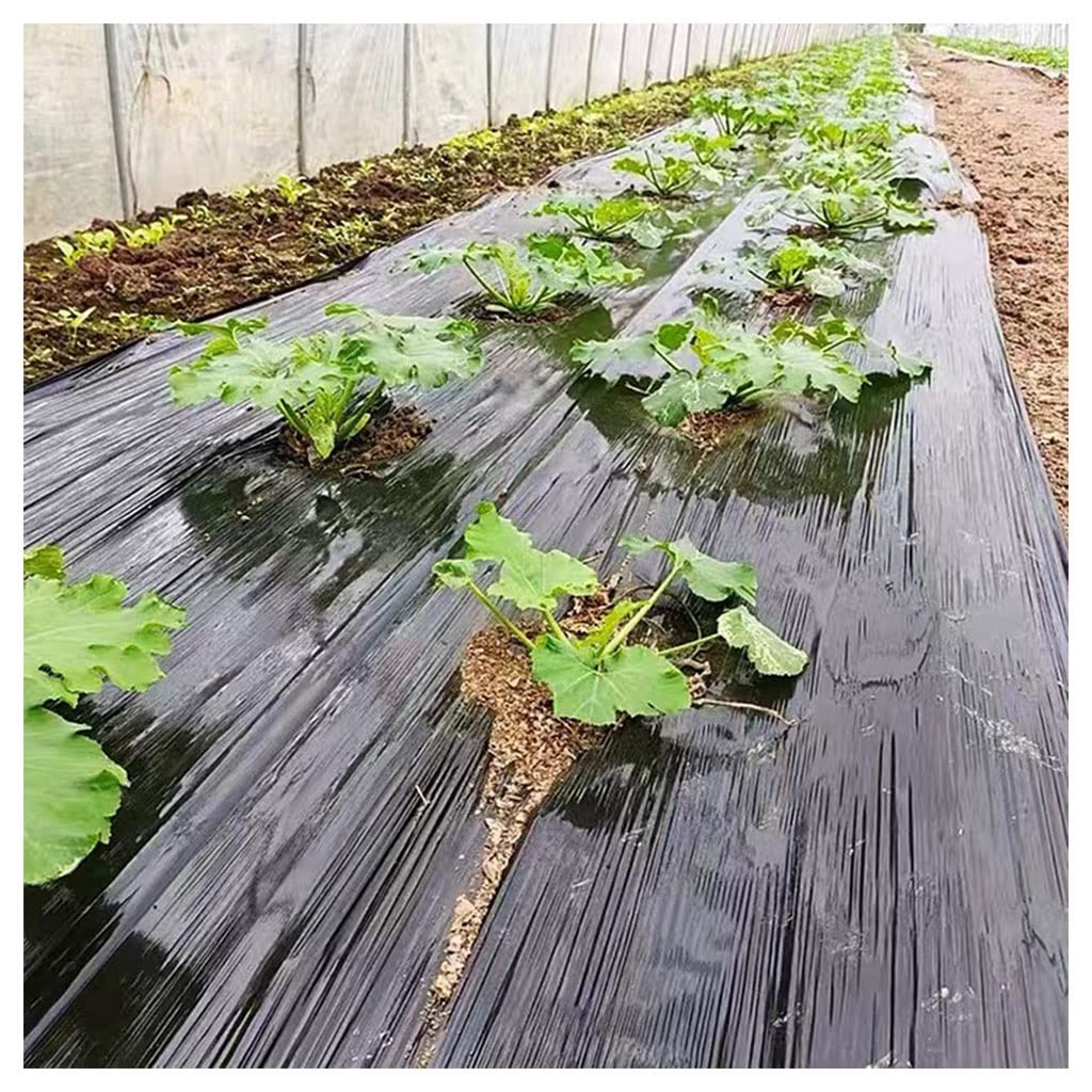 Czarna folia z tworzywa sztucznego, szerokość 0,8 m x 30 m długości, 0,01 mm grubości, osłona szklarni, do wzrostu warzyw, rolnictwa, odchwaszczania, wytrzymała folia ogrodnicza