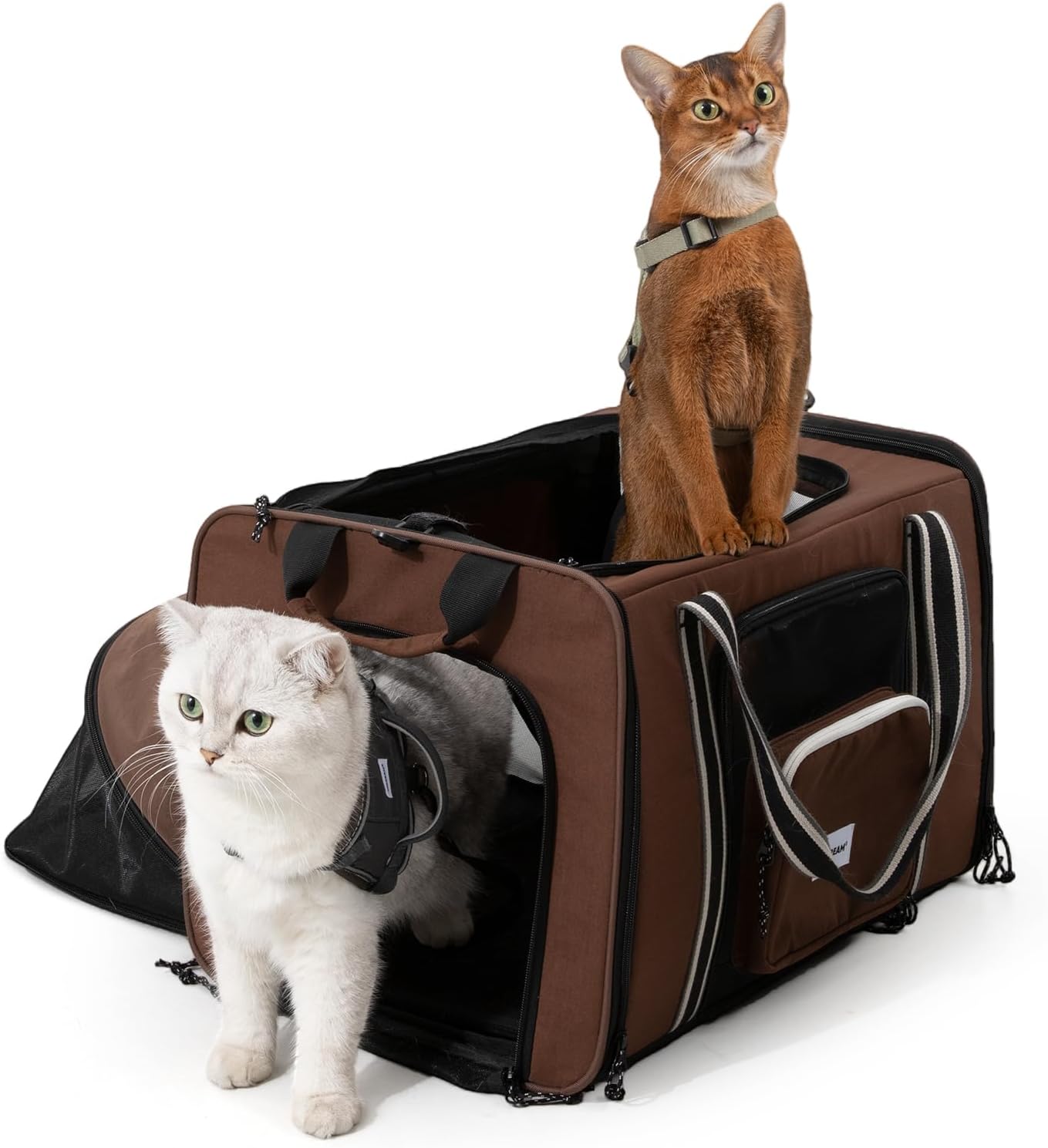 ETIAL Expandable Cat Hard-Sided Carrier for Travel, Large Capacity Portable Pet Tent Bag with Shoulder Strap, Multi-Scene Use for Car Airplane Camping Vet, for Cats and Small Dogs up to 10kg/22lbs