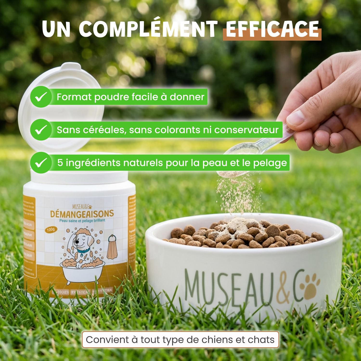 Démangeaisons Chien - Complément Alimentaire Anti-Grattage - Levure de Bière Bardane Pissenlit Lavande - Peau Saine & Pelage Apaisé - Formulé par des Vétérinaires - Fabriqué en France