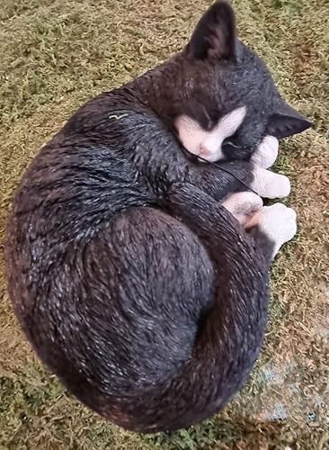 Miniatura 2 de Vivid Arts Tamaño B Gato durmiendo Real Life - NegroBlanco