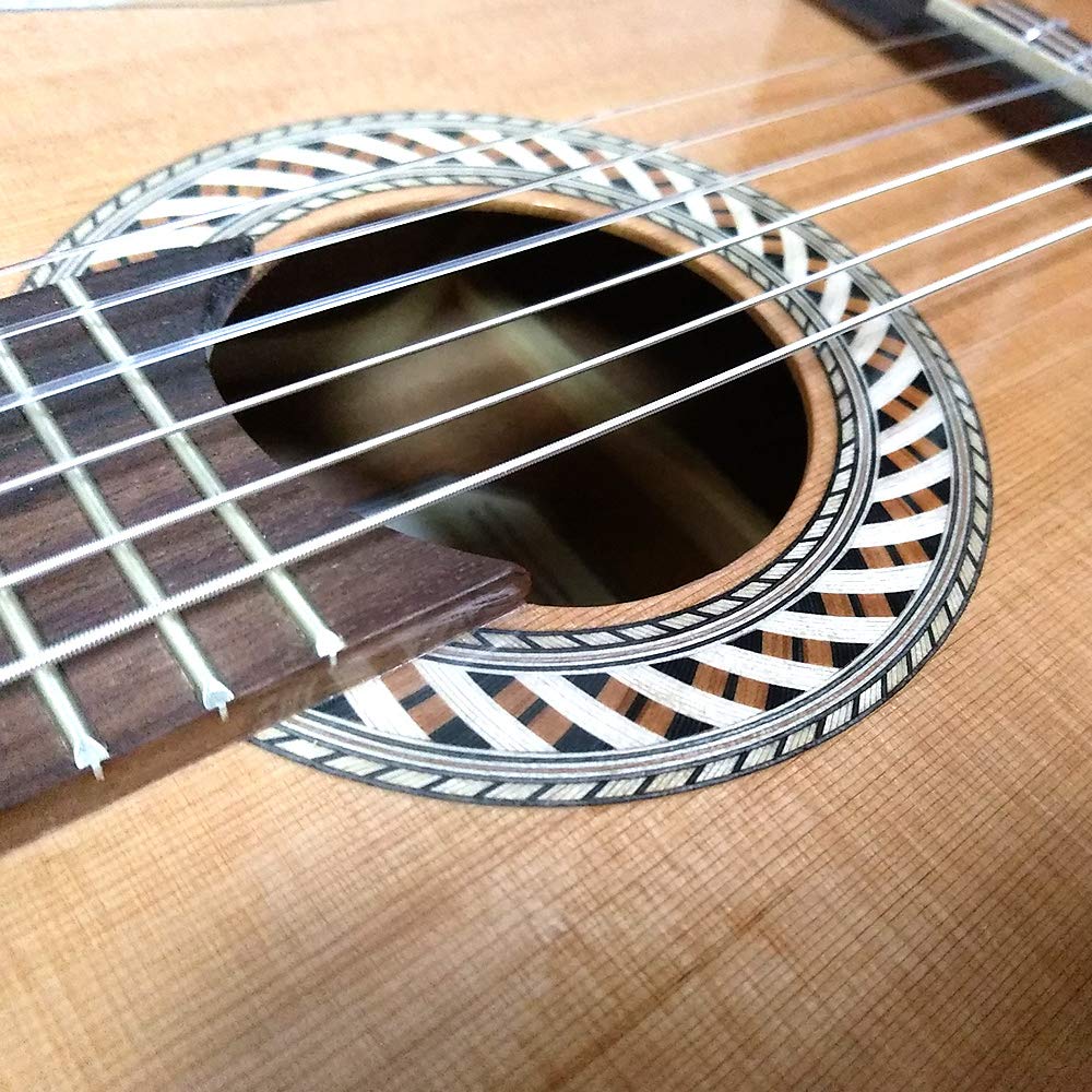 Amazon | Kremona Guitars クラシックギター SOFIA GUITAR S65C 650mm 