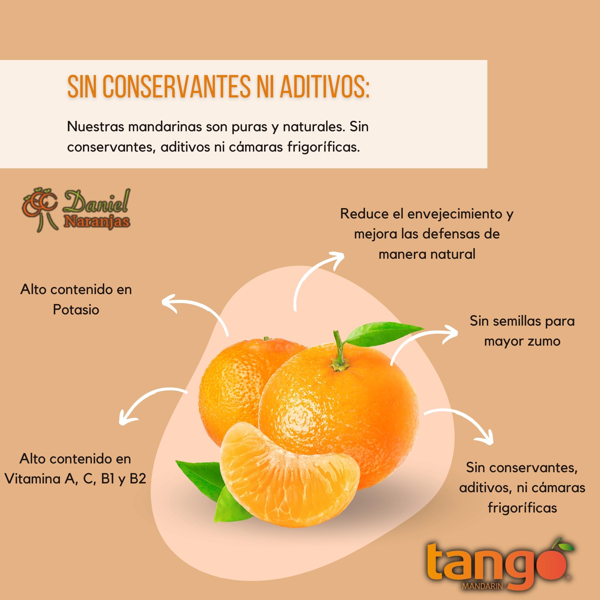 NARANJAS DANIEL | Mandarinas frescas de Valencia | Del árbol a tu mesa | Sabor equilibrado, delicioso y dulce | Sin conservantes ni aditivos (6kg)