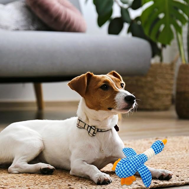 Foto 2 de 8 de Teksome para la dentición del Perro, para Perros de Peluche - masticable Interactivo para Perros