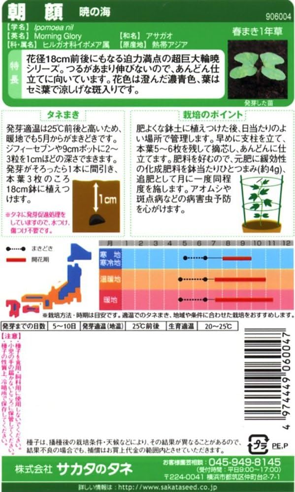 世界に夢をまく「サカタのタネ」 Amazon | サカタのタネ 実咲ハーブ8079 ディル(イノンド) ハーブ