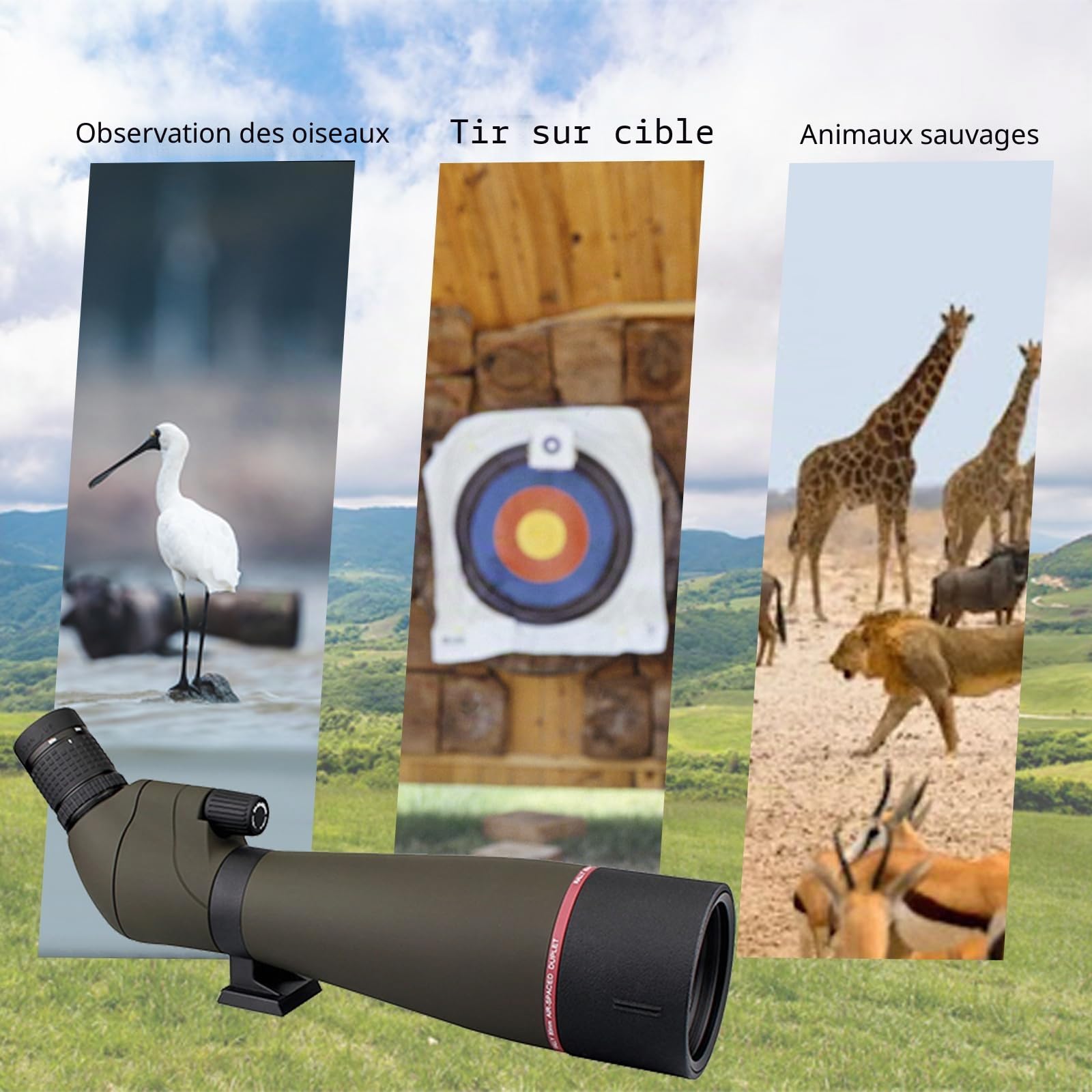 Svbony SV13 20-60X80 Longue Vue, HD Porro Prisme FMC Optique Étanche Monoculaire Longue Vue pour Tir Sportif, l'Observation des Oiseaux (avec Grand trépied)