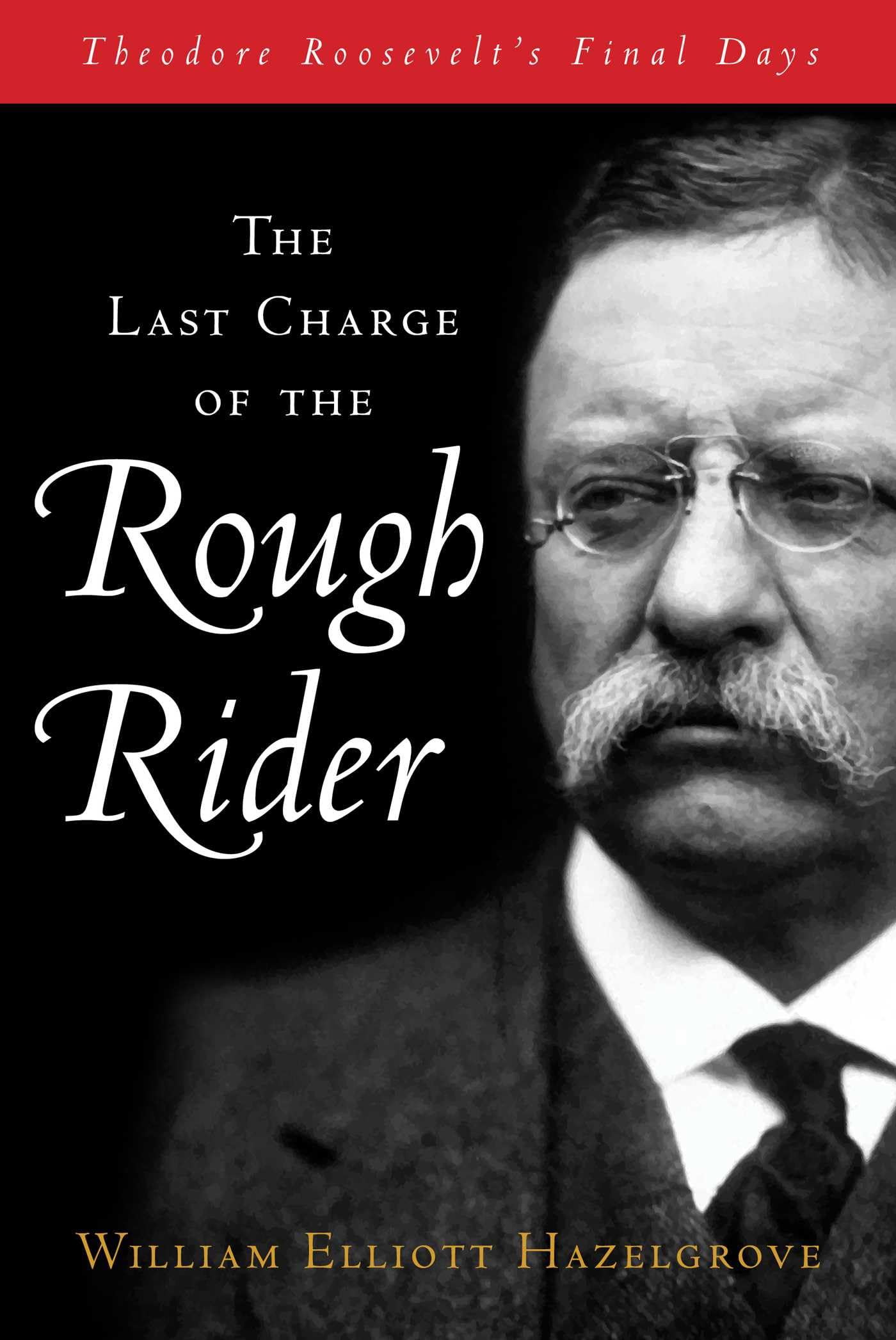 Last Charge of the Rough Rider : Theodore Roosevelt's Final Days by William ...