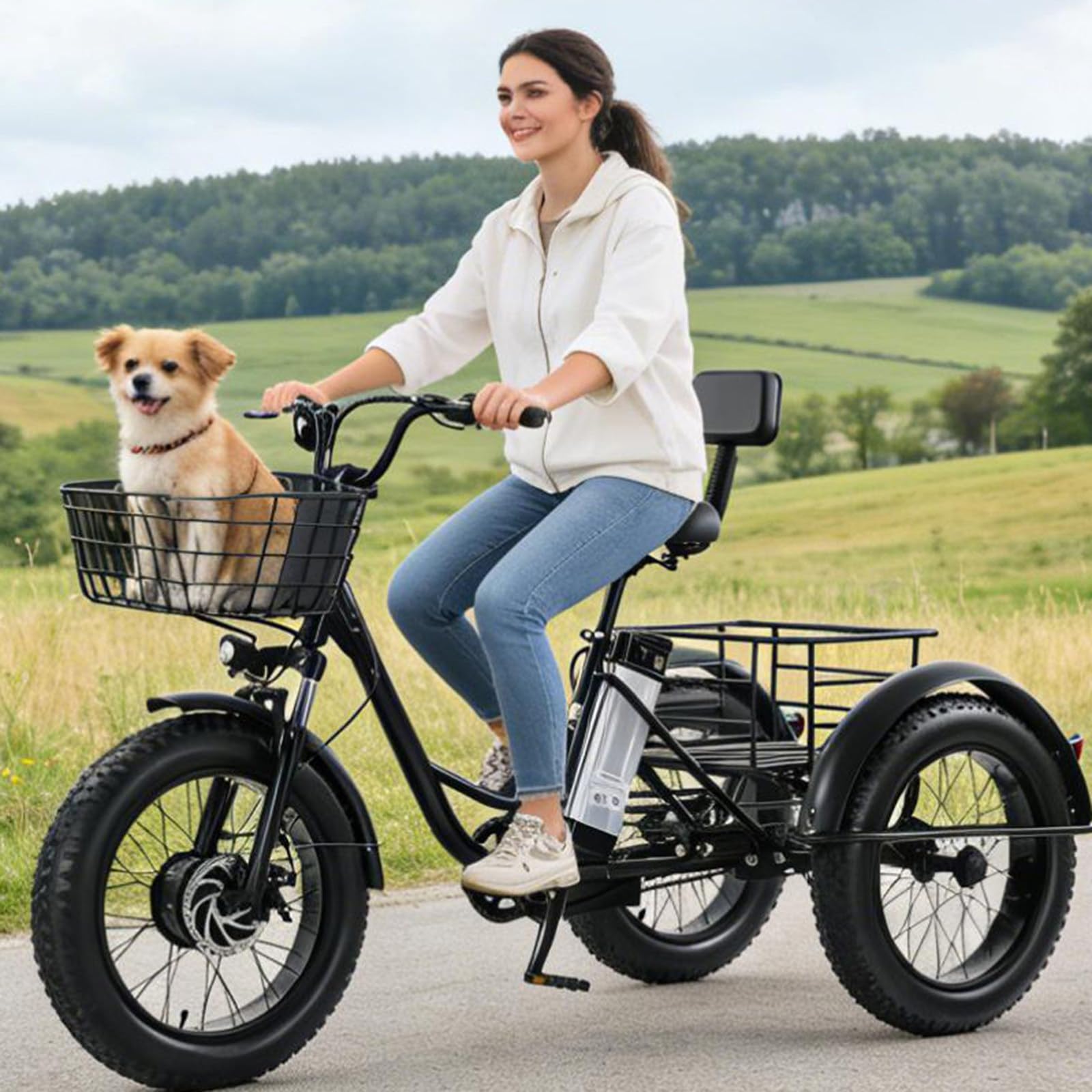 YMLUKzun Motor Adult Electric Trike - Load 200Kg, 20" Fat Tire 3 Wheel Electric Bike with Removable Battery, All-Terrain E-Bike for Adults and Teens, 48V/12Ah Removable Battery - Range 45km