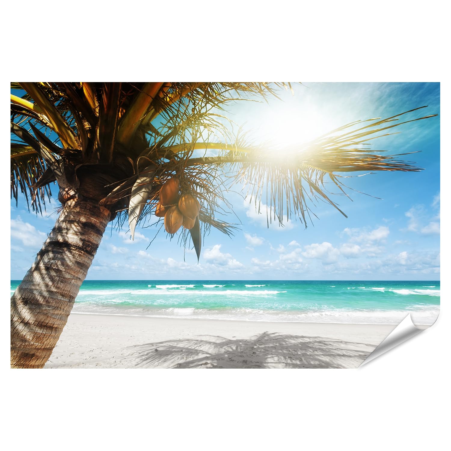 islandburner Poster mural de qualité supérieure - Palmier de plage paradisiaque pour le salon - Parfait pour les amateurs de voyage - Grand format