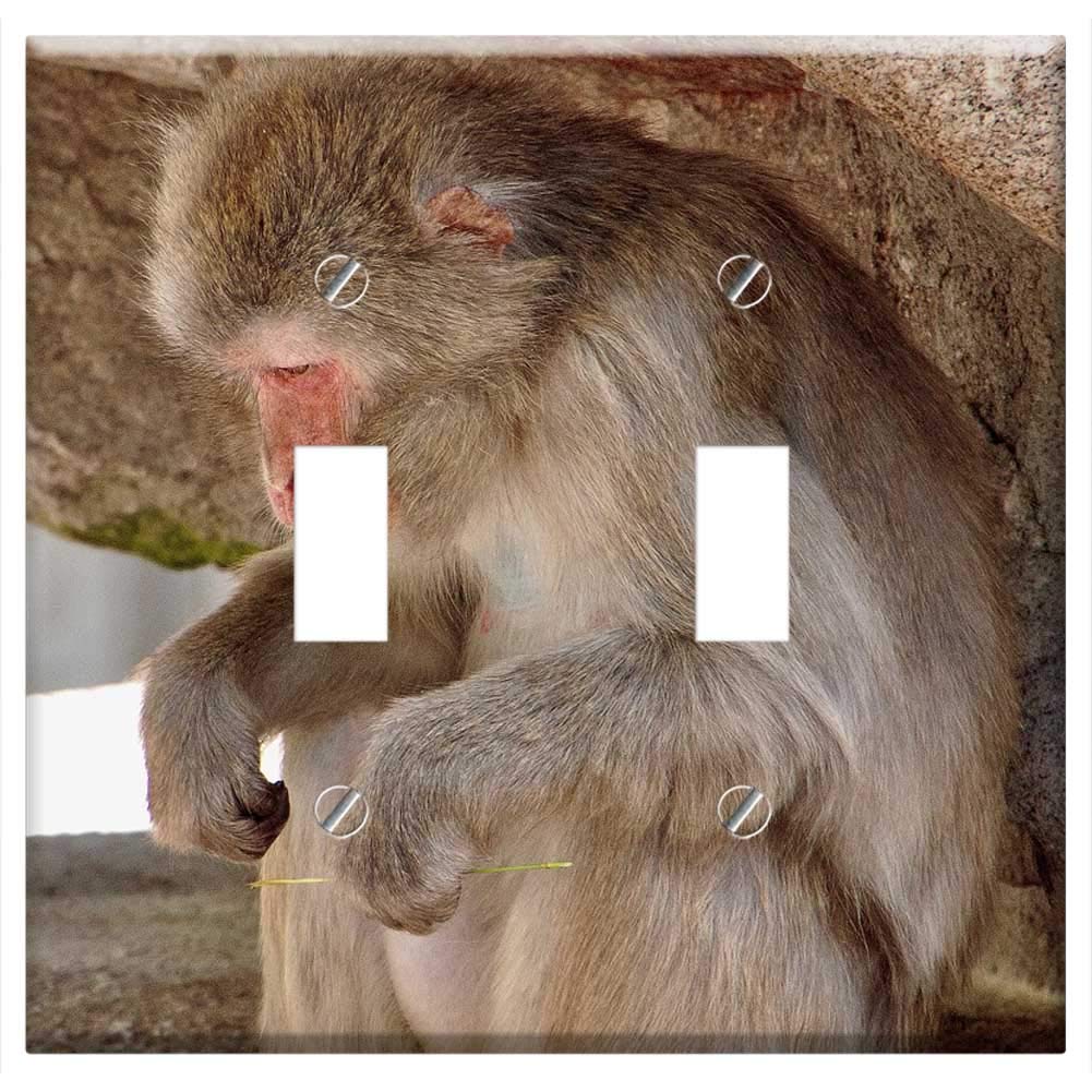 Stuttgart Animal Clinic