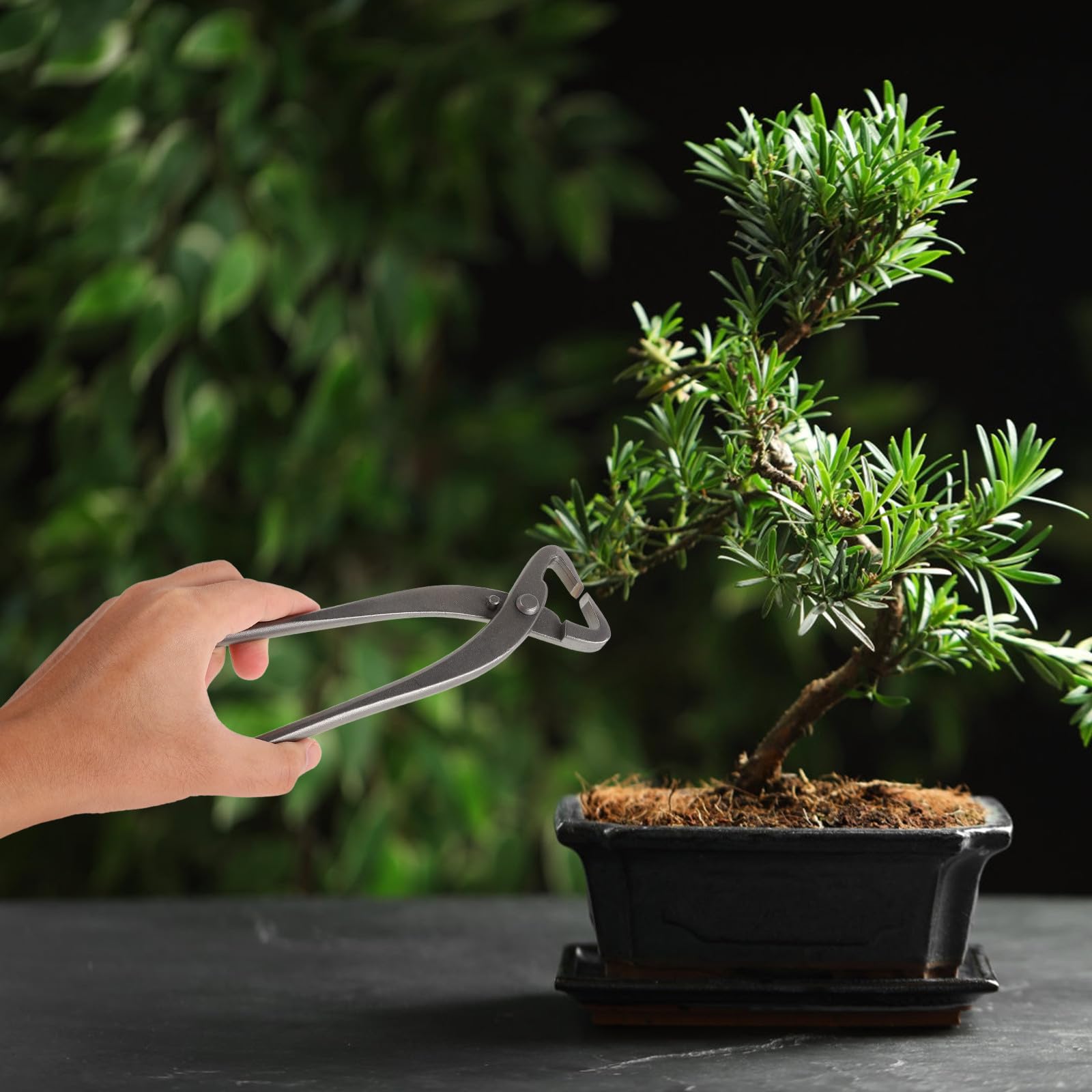 jojofuny Sécateur à Bonsaï en Acier Argenté Design Ergonomique, Outil Polyvalent Taille Sculpture Créative des Branches de Bonsaï