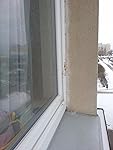 Review Image by Oleg S. Oleg S.