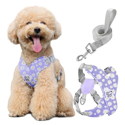 Pawaboo Conjunto de arnés y Correa Ajustable para Perros pequeños