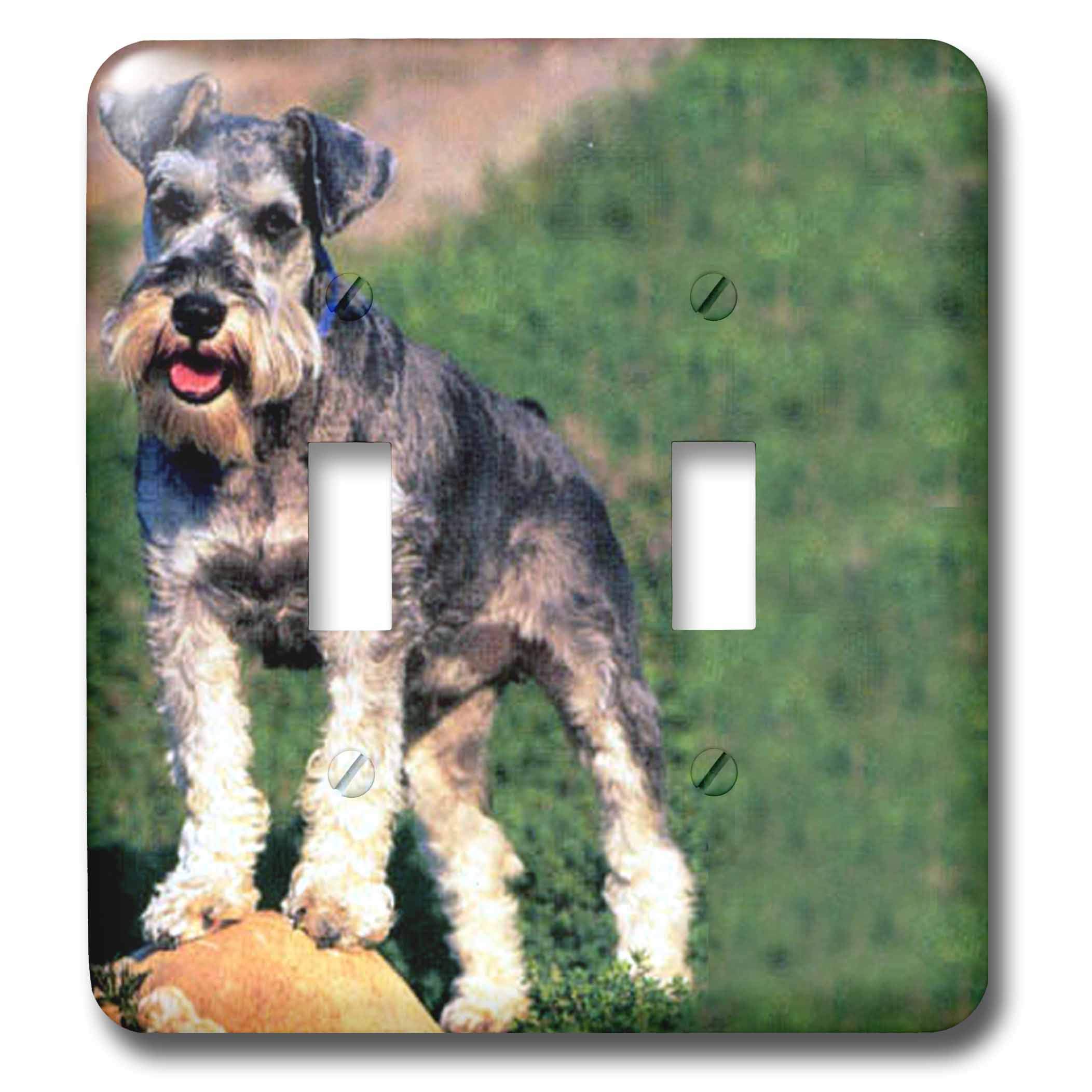Schnauzer interrupteur double, le cadeau idéal pour décorer la chambre